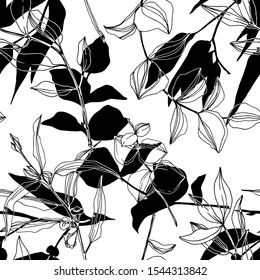 El árbol vectorial Eucalyptus deja la jungla botánica. Dibujo de tinta grabado en blanco y negro. Textura de impresión de papel pintado de tela.