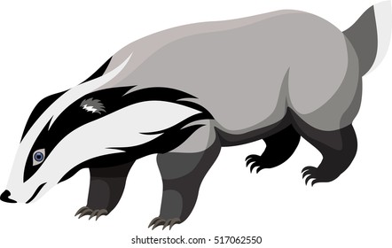 vector European badger 