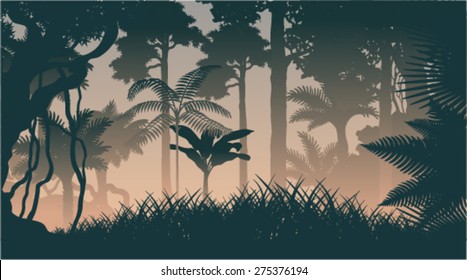 vector evening in jungle