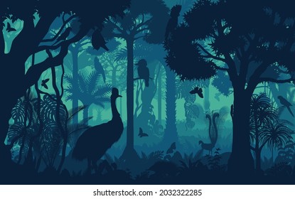 Vector tarde selva tropical selva jungla fondo con lyreburd, cacatú, murciélago, loro, Echidna, kookaburra, iguana y casuarinas