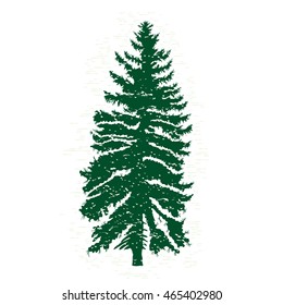 Vector evergreen silhouette of pine and fir tree, conifer tree, nature design element.
