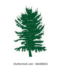 Vector evergreen silhouette of pine and fir tree, conifer tree, nature design element.
