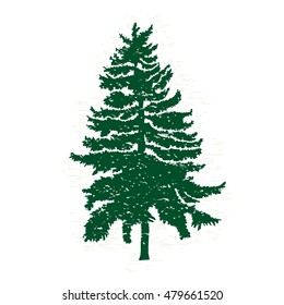 Vector evergreen silhouette of pine and fir tree, conifer tree, nature design element.