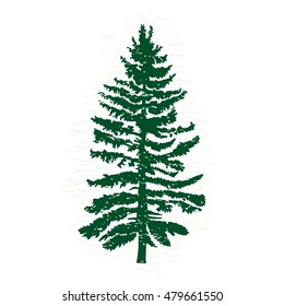 Vector evergreen silhouette of pine and fir tree, conifer tree, nature design element.
