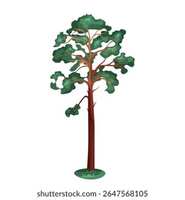 Vetor árvore sempre verde ou flora de pinheiro. Planta de coníferas para elemento de parque de vida selvagem. Biodiversidade florestal e florestal. Madeira ou emblema do parque. Folhagem de agulha e verde símbolo isolado. Ao ar livre.