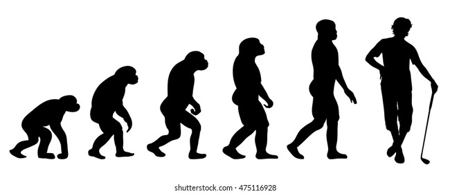 Vector evolution golf silhouette on white background