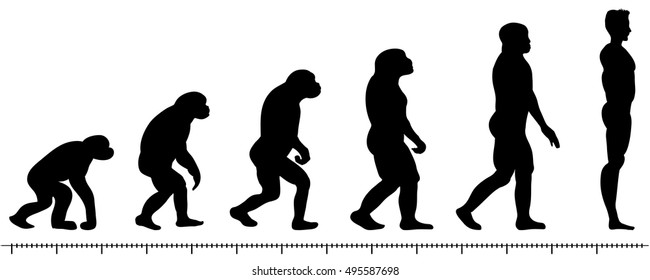 Vector Evolution Man Silhouette On White Background