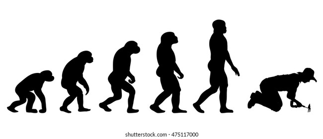 Vector evolution people silhouette on white background