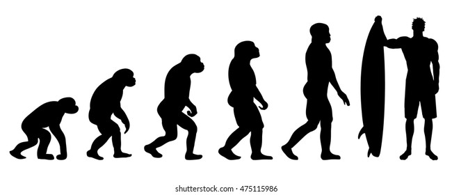 Vector evolution surf silhouette on white background