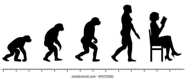 Vector evolution woman silhouette on white background