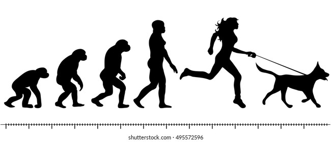 Vector evolution woman silhouette on white background