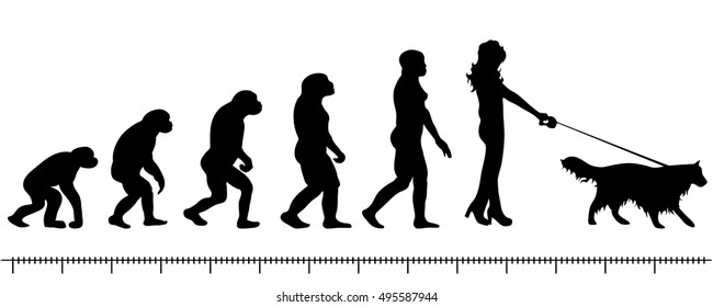 Vector evolution woman silhouette on white background