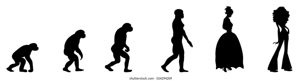 Vector evolution woman silhouette on white background