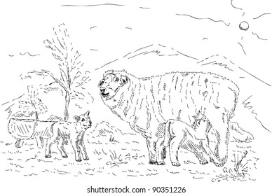 vector - Ewe with her two lambs on pasture under mountains
