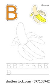 Vector exercise illustrated alphabet. Learn handwriting. Page to be traced. Complete english alphabet. Tracing worksheet for letter B