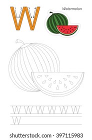 Vector exercise illustrated alphabet. Learn handwriting. Page to be traced. Complete english alphabet. Tracing worksheet for letter W