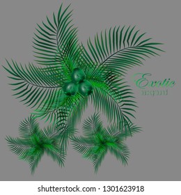 
Vector exotic background, palm leaves with coconuts. Design element