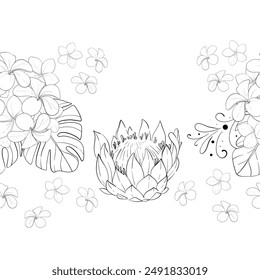 Vector exotic botanical seamless border, pattern. Tropical flower proteas and plumeria ornament. Hand drawn graphic. Black circuit silhouette