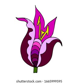Vector exotic flower bud, outline hand-drawn doodle style, linear drawing, isolated on white background