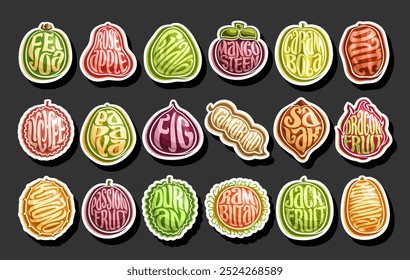 Conjunto frutas exóticas Vector