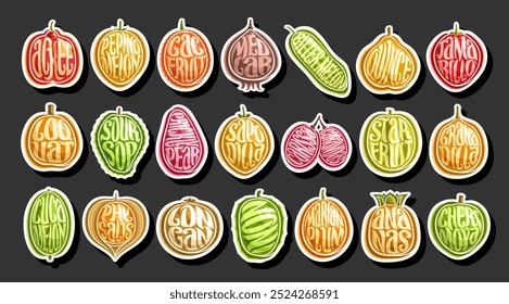 Vector Exotic Fruit Set, collection of cut out outline illustration different exotic fruits for healthy nutrition, horizontal banner with group of colorful objects with fruit names on black background