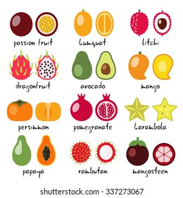 vector exotic fruits collection