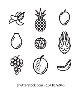 Vector exotic fruits icons. Flat illustration of exotic fruits isolated on white background. Icon vector illustration sign symbol.