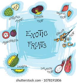 Vector exotic fruits with their names