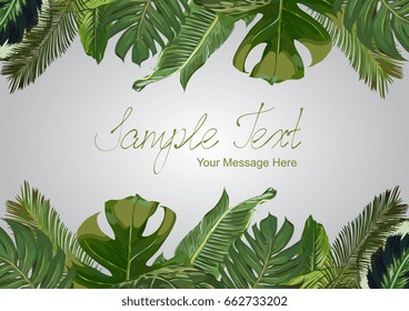 Vector Exotic Leaves Frame