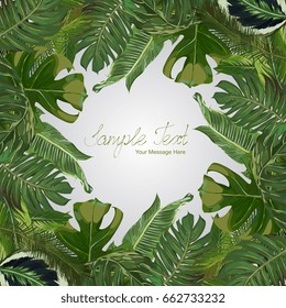 Vector Exotic Leaves Frame