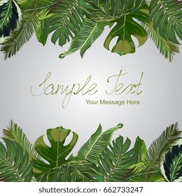 Vector Exotic Leaves Frame