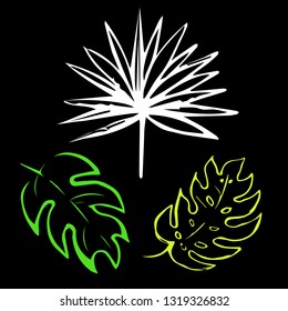 Vector exotic leaves, tropical plant, 4 colors, nature illustration