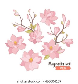 Vector exotic magnolia elements, branches with pink flowers and green leaves isolated on white background. 