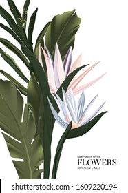 Vector exotic palm banners set with green tropical leaves and flowers background. Botanical design for photography, florist shop, cosmetics, spa, perfume, beauty salon, travel agency.