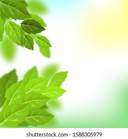 Vector exotic summer background. Leaf texture pattern background. Eco design vector illustration. Forest foliage. Green leaves pattern . Floral illustration