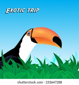 Vector Exotic trip card