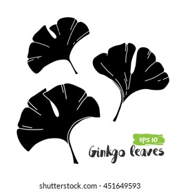 Vector exotic tropical ginkgo leaves, jungle foliage set isolated on white background. Black and white flat monochrome style.