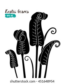 Vector exotic tropical leaves, jungle foliage set isolated on white background. Black and white monochrome style.
