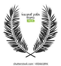 Vector exotic tropical palm leaves, jungle foliage set isolated on white background. Black and white monochrome style.