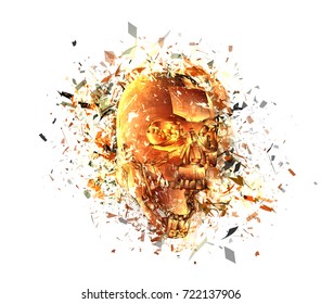 vector exploded skull with splashes in all directions. terrible and beautiful template