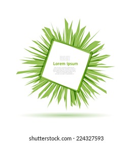 Vector explosion of green energy