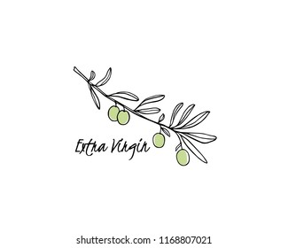 Vector extra virgin oil emblem. Hand drawn graceful olive branch. Ink drawing. Beautiful vector graphics for olive oil packaging or branding.