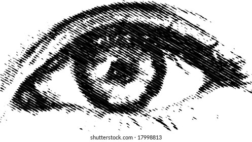 vector eye