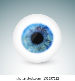 vector eyeball illustration