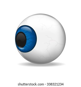 Vector Eyeball isolated with white background