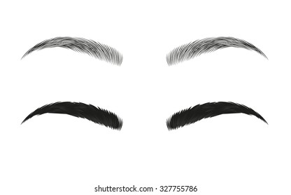 Vector eyebrows, realistic and cartoon style