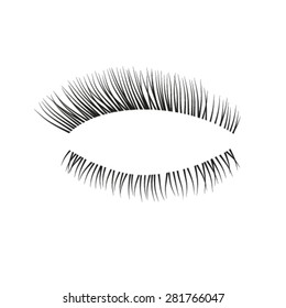 Vector eyelashes