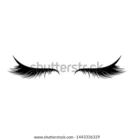 Vector eyelashes on a white background