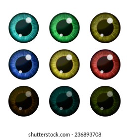 Vector eyes collection. Vector human pupil