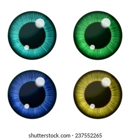 Vector eyes collection. Vector human pupil